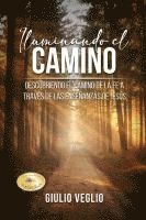 bokomslag Iluminando el Camino (Spanish Edition)