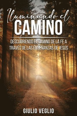 bokomslag Iluminando el Camino (Spanish Edition)