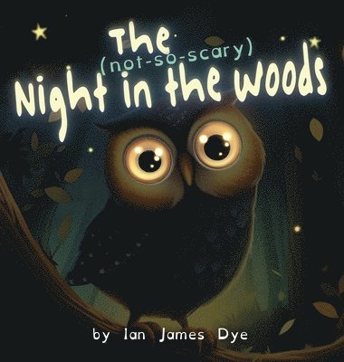 The (not-so-scary) Night in the Woods 1