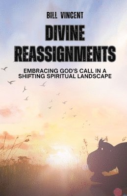 bokomslag Divine Reassignments