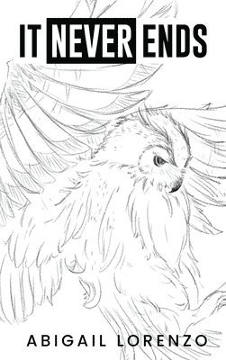 Abigail Lorenzo, Book Publish Pro - It Never Ends, Inbunden