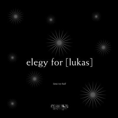 Luna Rey Hall - elegy for [lukas], Häftad