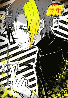 Anime Bible ( Pure Anime ) No.13 1