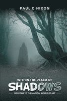 Within the Realm of Shadows