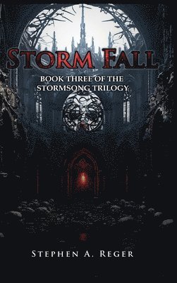 bokomslag Storm Fall