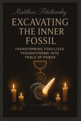 Matthew Petchinsky - Excavating the Inner Fossil, Häftad