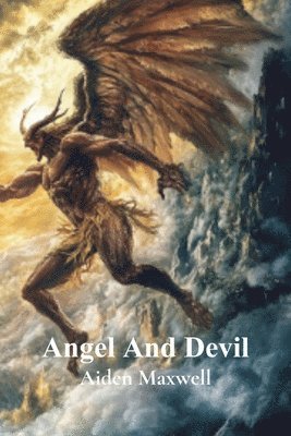 bokomslag Angel And Devil