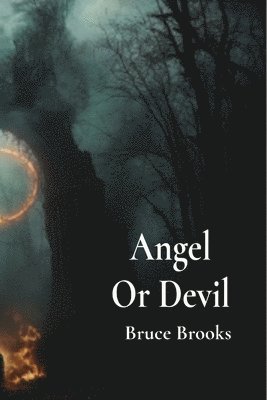 Angel Or Devil 1