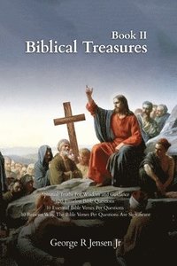 bokomslag Biblical Treasures