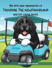 bokomslag The First Year Adventures Of Theodore The Newfoundland And His White Socks