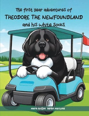 The First Year Adventures Of Theodore The Newfoundland And His White Socks 1