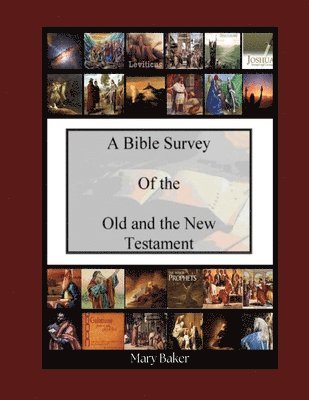 bokomslag Bible Survey of the Old and New Testament