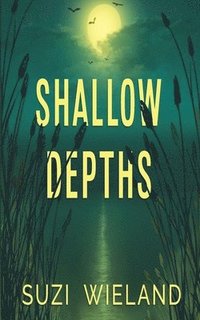 bokomslag Shallow Depths