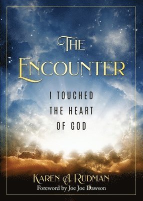 bokomslag The Encounter
