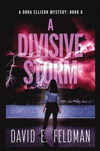 bokomslag A Divisive Storm: A Dora Ellison Mystery, Book 6