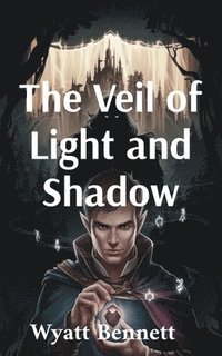 bokomslag Veil of Light and Shadow