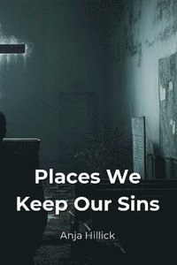 bokomslag Places We Keep Our Sins