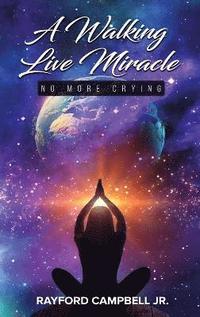 bokomslag Walking Live Miracle
