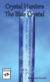 bokomslag Crystal Hunters: The Blue Crystal