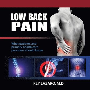 bokomslag LOW BACK PAIN - What Patients and Primary Health Care Providers Should Know