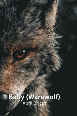 bokomslag Baby (Warewolf)