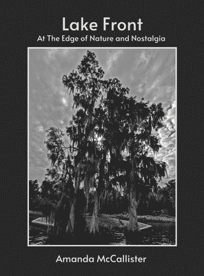 Lake Front