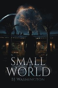 bokomslag Small World