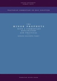 bokomslag The Minor Prophets with a Commentary Explanatory and Practical