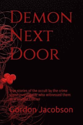 bokomslag Demon Next Door