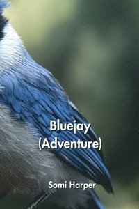 bokomslag Bluejay (Adventure)