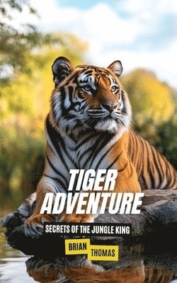 Tiger Adventure 1