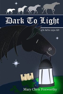 bokomslag Dark to Light - 476 AD to 1250 AD