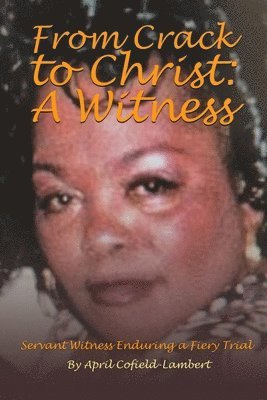 bokomslag From Crack to Christ: A Witness