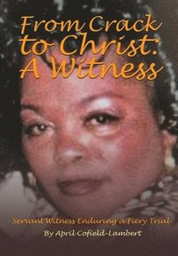 bokomslag From Crack to Christ: A Witness