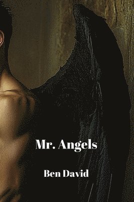 Mr. Angels 1