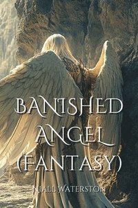 bokomslag BANISHED ANGEL (Fantasy)