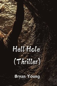 bokomslag Hell Hole (Thriller)