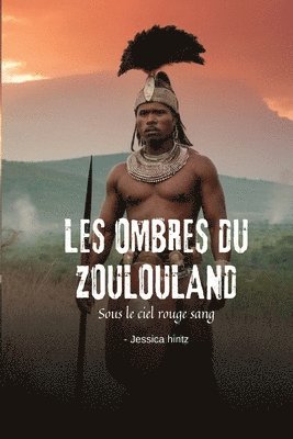 bokomslag Les ombres du Zoulouland