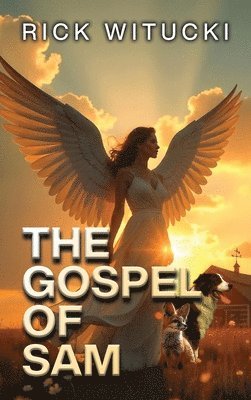 bokomslag Gospel Of Sam