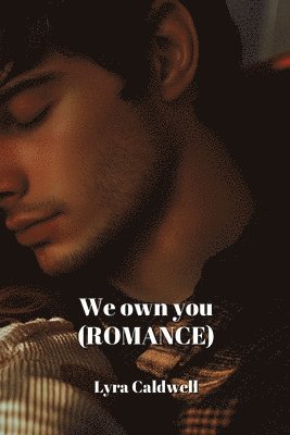 bokomslag We own you (ROMANCE)