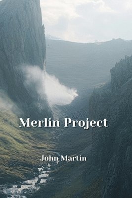 Merlin Project 1