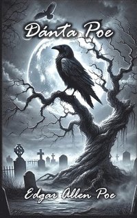 bokomslag Dánta Poe