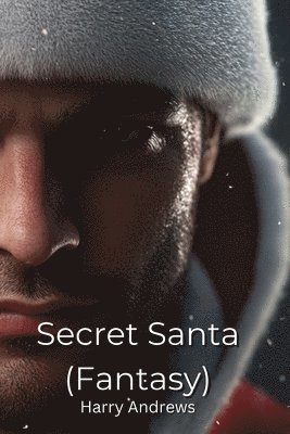 bokomslag Secret Santa (Fantasy)