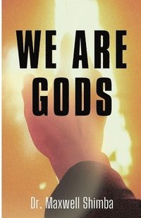 bokomslag We Are Gods