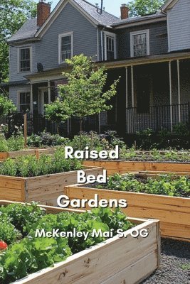 Raised Bed Gardens 1