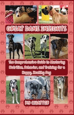 bokomslag Great Dane Insights