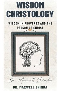 bokomslag Wisdom Christology