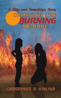 Crossing the Burning Meadow 1