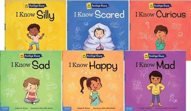 bokomslag We Find Feelings Clues Complete Series 6-Book Set
