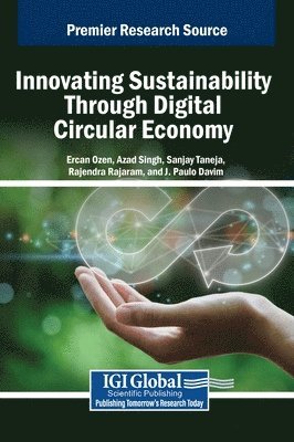 bokomslag Innovating Sustainability Through Digital Circular Economy